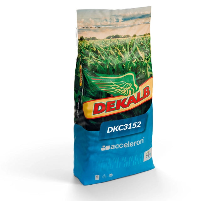 Kukurydza na Ziarno DKC3152 50 tys. FAO 220