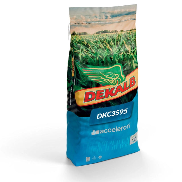 Kukurydza na Ziarno DKC 3595 REDIGO + KORIT 50 tys. FAO 240