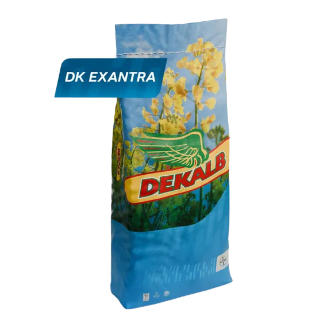 Rzepak ozimy DK Exantra - worek Dekalb