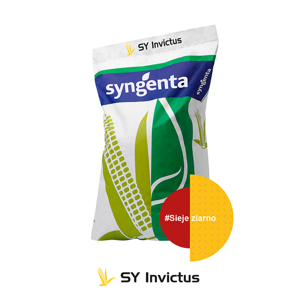 Kukurydza na ziarno i kiszonkę SY INVICTUS 50 tys. FAO 230