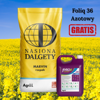 Rzepak ozimy Marvin + Foliq36 gratis