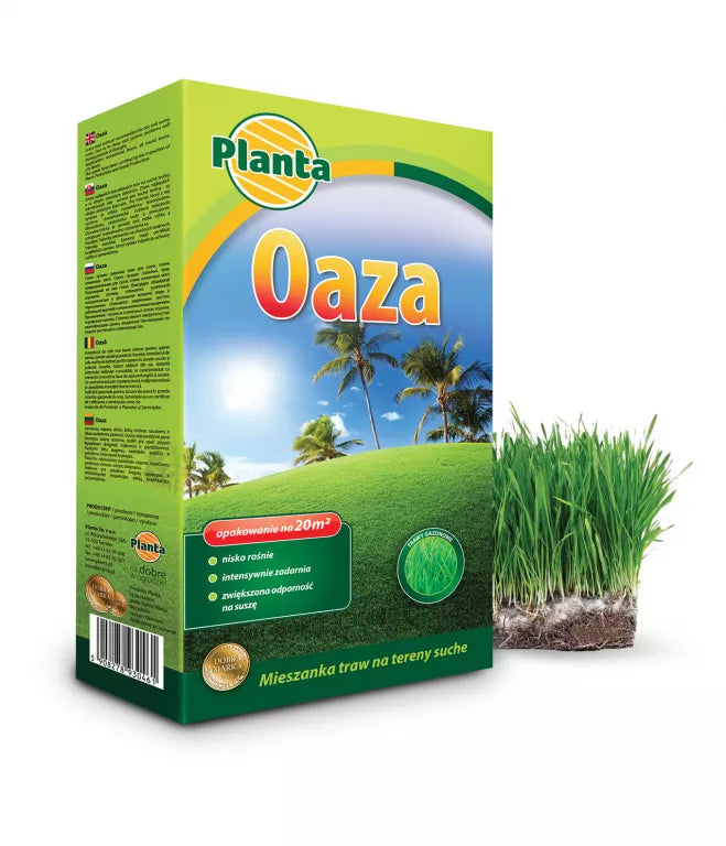 Planta Oaza – Mieszanka Traw na Tereny Suche i S\u0142oneczne