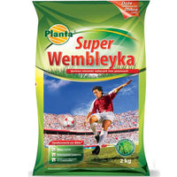 Planta Wembley – Mieszanka Traw na Trawniki Intensywnie Użytkowane