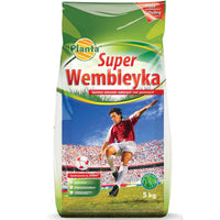 Planta Wembley – Mieszanka Traw na Trawniki Intensywnie Użytkowane