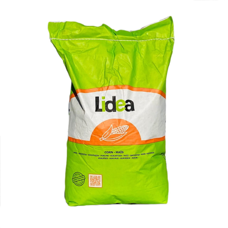 Kukurydza na Ziarno Winterstone 50 tys. FAO 270