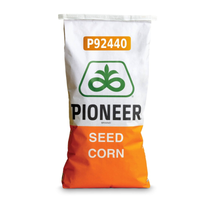 Kukurydza na Ziarno i Kiszonke Pioneer P92440 80 tys. FAO 270 PAKIET 14+1 GRATIS