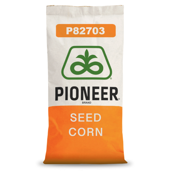 Kukurydza na Kiszonkę Pioneer P82703 80 tys. FAO 250 Pakiet 20+2 GRATIS