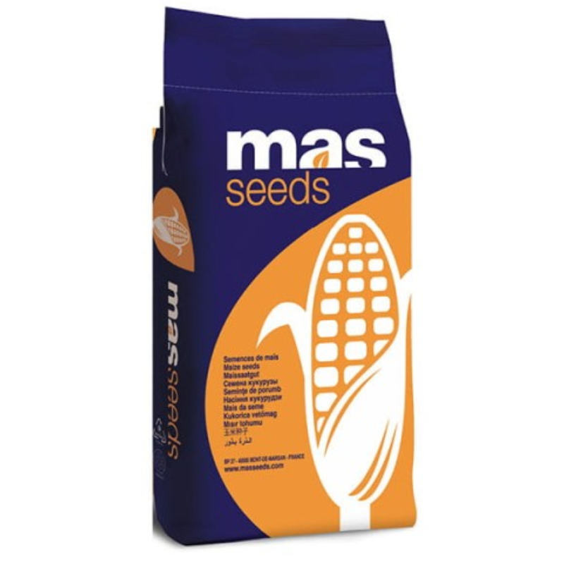 Kukurydza na ziarno Mas 23M FAO 250 50 tys.