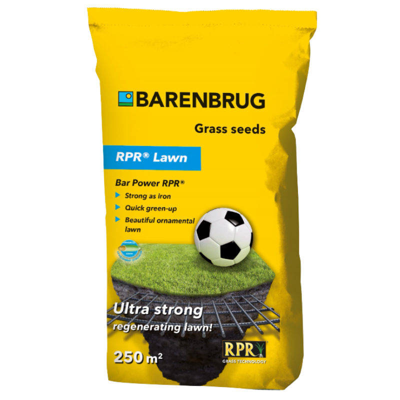 Trawa Barenburg RPR 5 kg