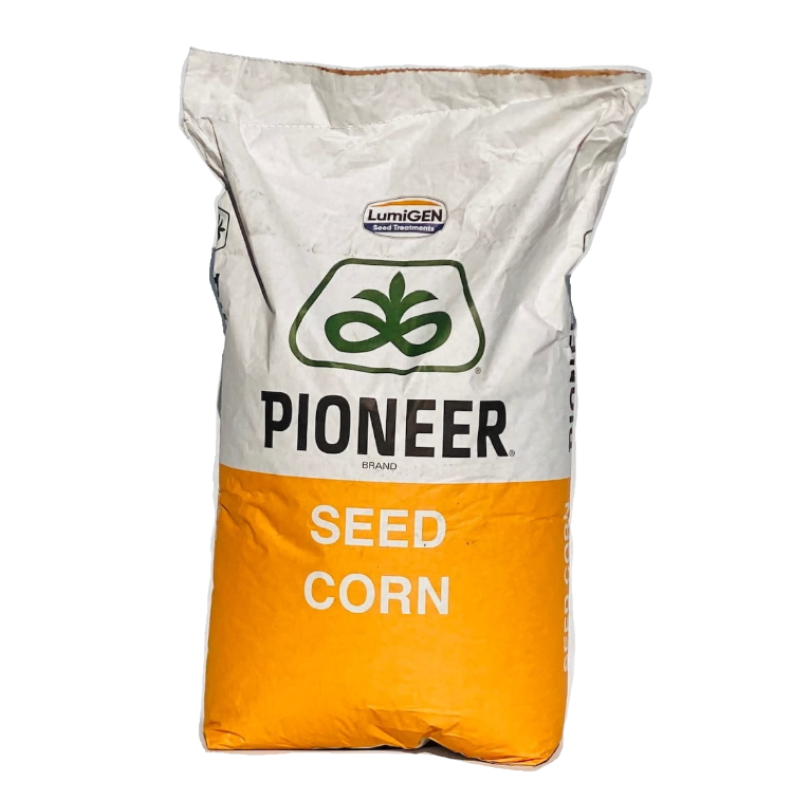 Kukurydza na Ziarno Pioneer P8834 80 tys. FAO 250 PAKIET 20+2 GRATIS