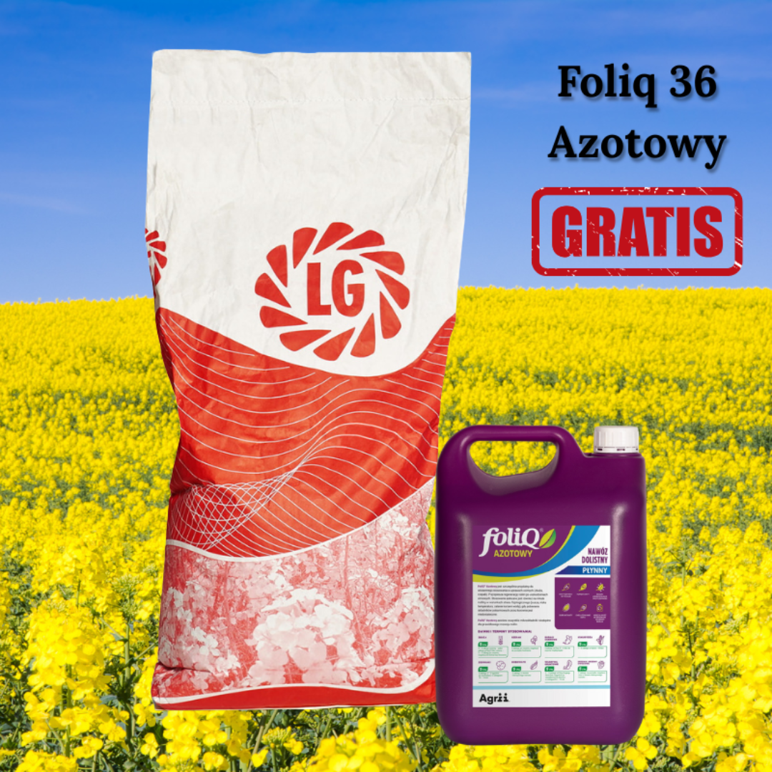 Rzepak oz. hybryd LG Apollonia F1 Integral+Lumiposa + Foliq36 GRATIS