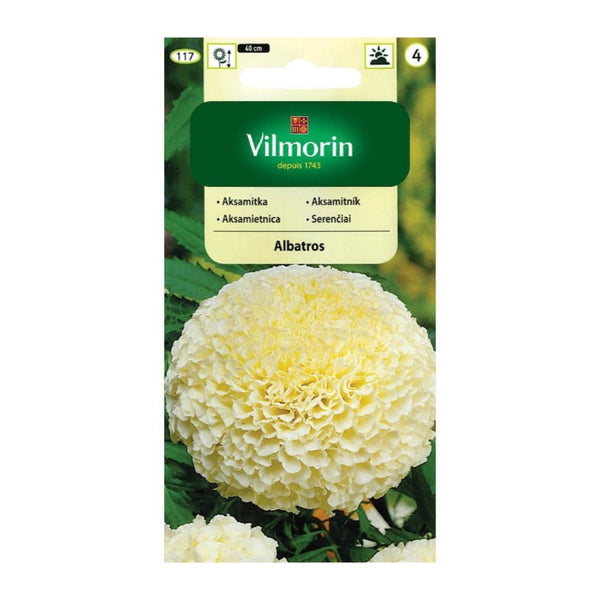 Saszetka nasion aksamitki wzniesionej Vilmorin, odmiana Albatros, 0,2 g
