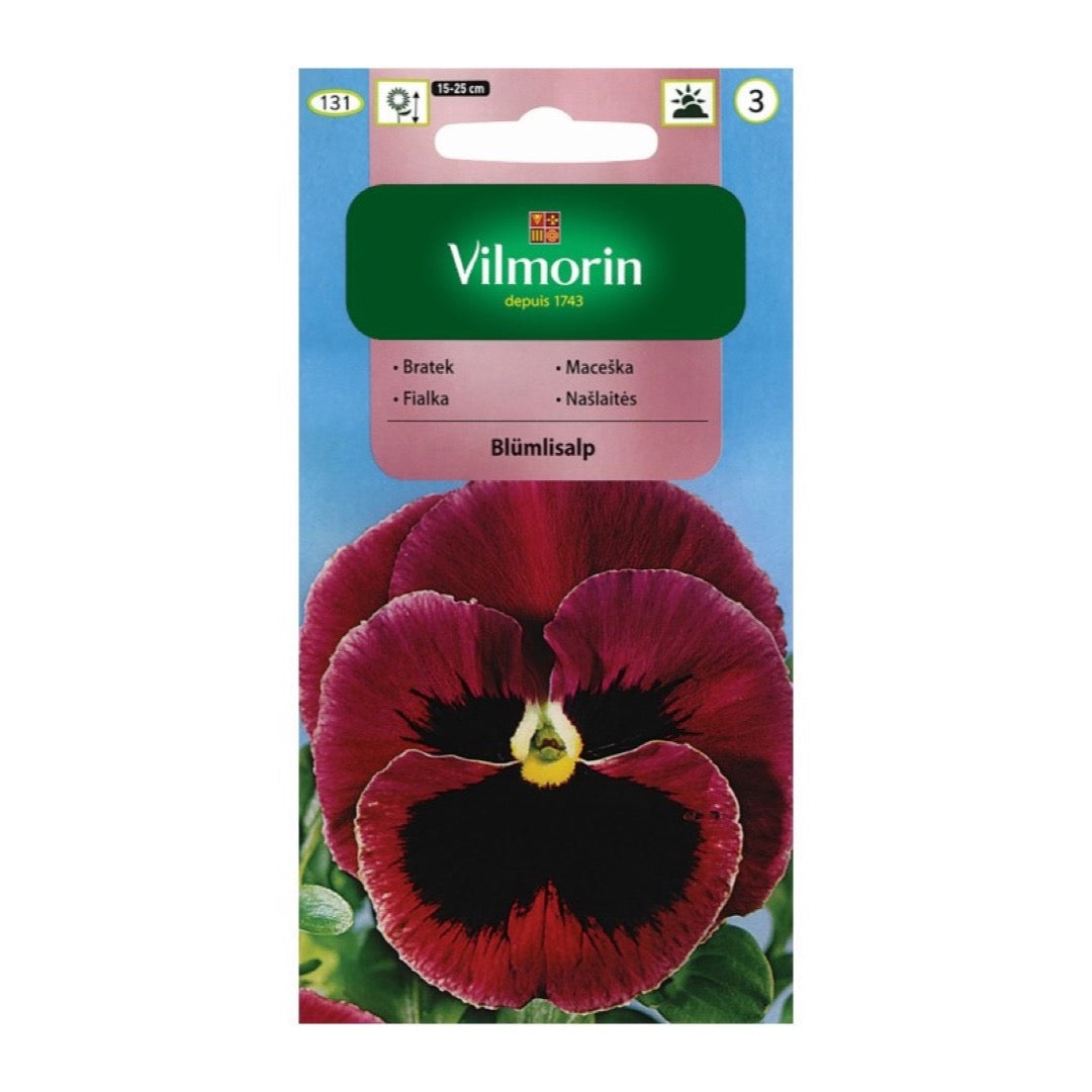 Saszetka nasion bratka ogrodowego Vilmorin, odmiana Blümlisalp, 0,5 g