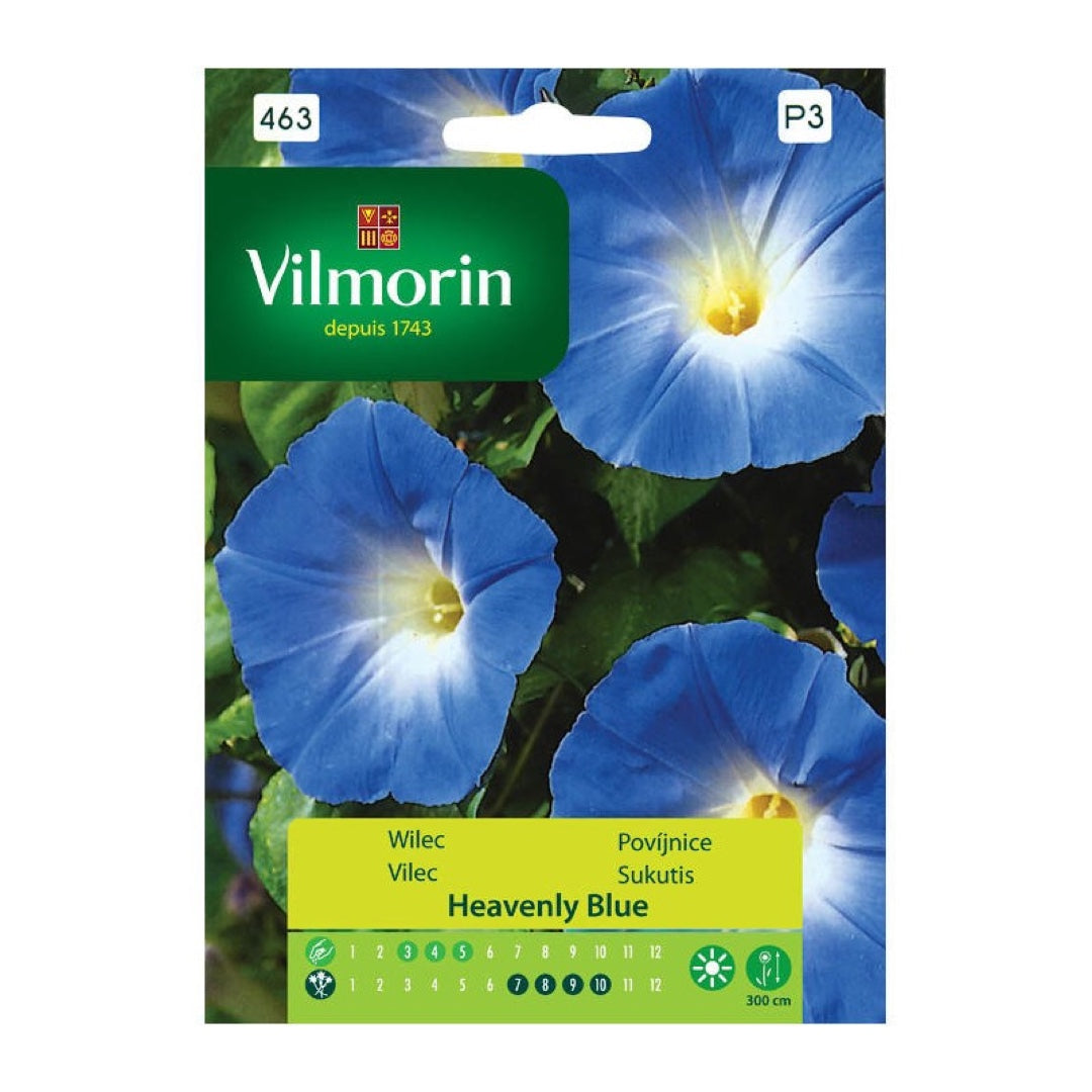 Saszetka 1 g nasion wilca Heavenly Blue Vilmorin