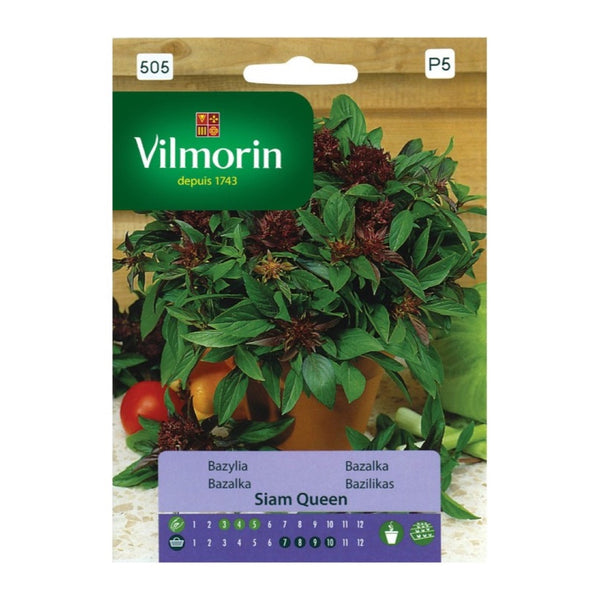 Saszetka nasion bazylii Siam Queen Vilmorin, 0,5 g