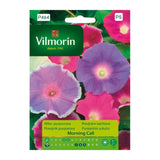 Saszetka 1 g nasion wilca purpurowego Morning Call Vilmorin