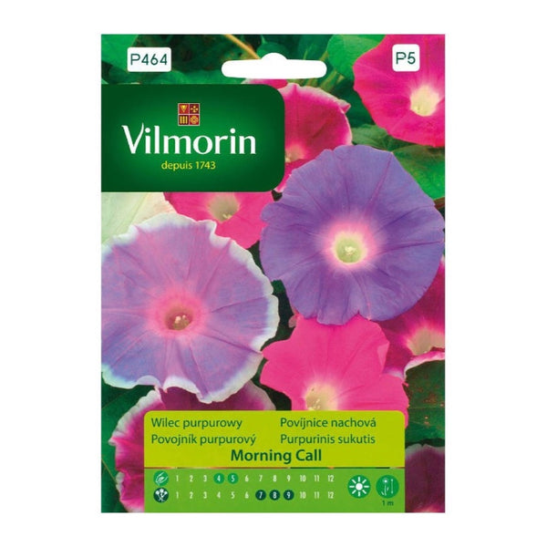 Saszetka 1 g nasion wilca purpurowego Morning Call Vilmorin