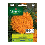 Saszetka nasion aksamitki Pollux Orange Vilmorin, 0,2 g