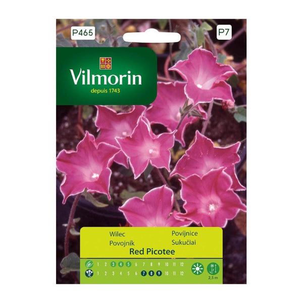 Saszetka 1 g nasion wilca Red Picotee Vilmorin