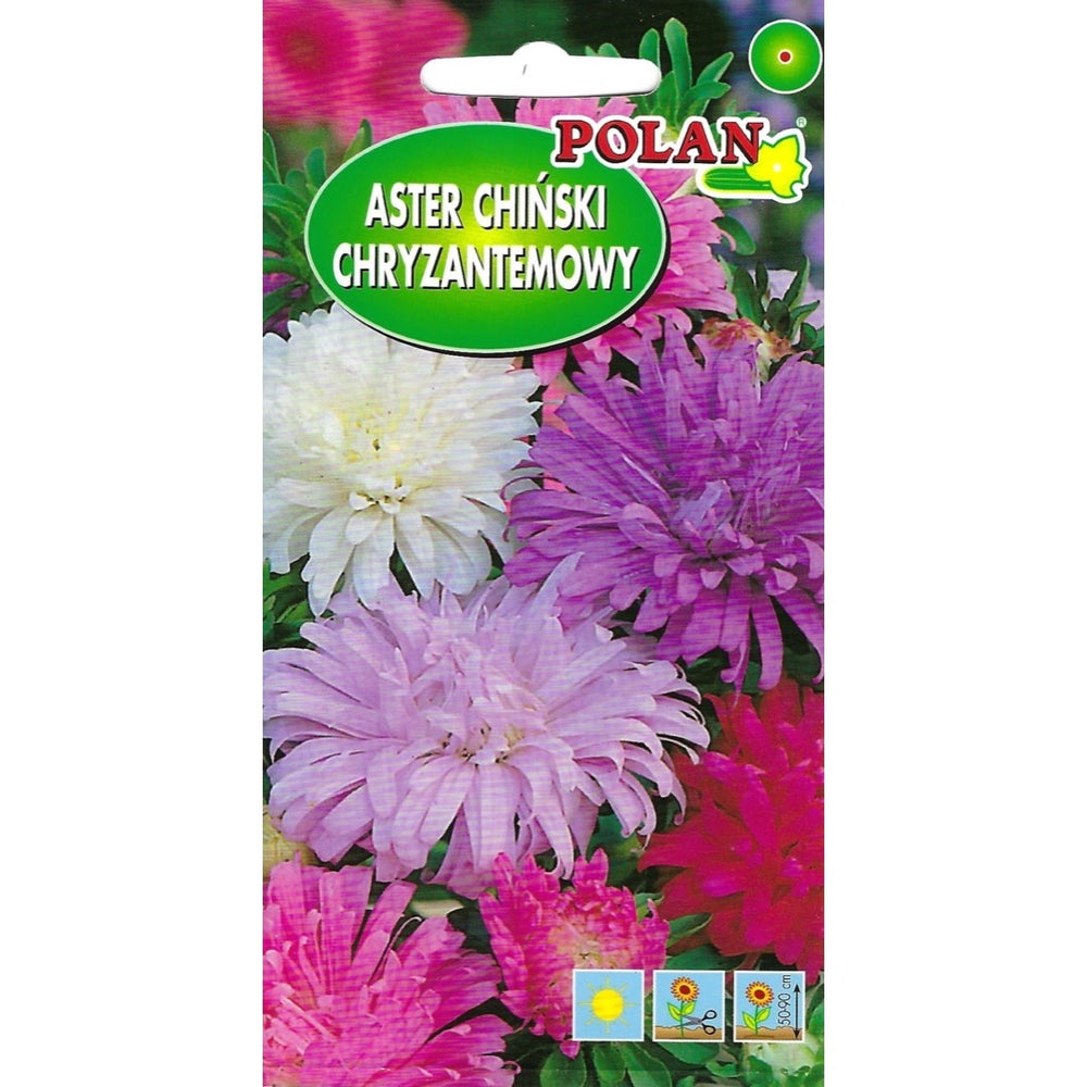 Saszetka nasion astra chińskiego chryzantemowego mieszanka PlantiCo, 1 g