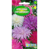 Saszetka nasion astra chińskiego chryzantemowego mieszanka PlantiCo, 1 g
