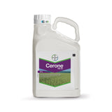 Kanister 5 l regulatora wzrostu Cerone 480 SL firmy Bayer