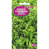 Saszetka nasion bazylii cytrynowej PlantiCo, 0,5 g