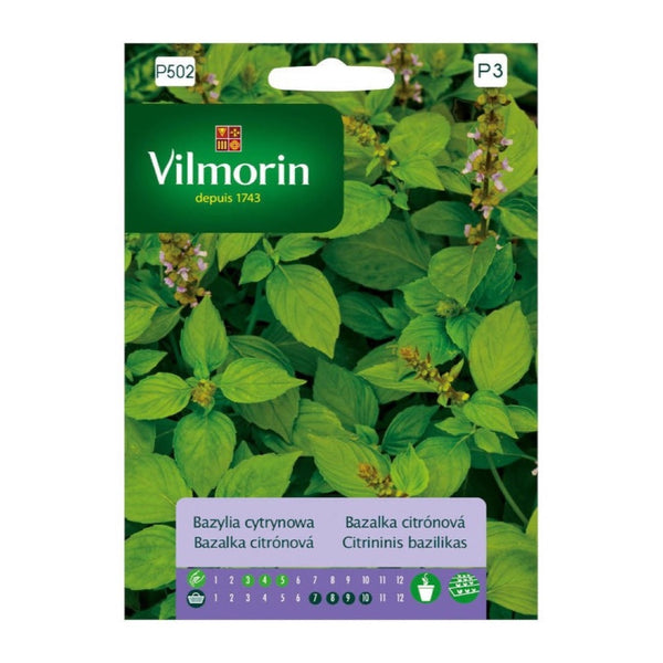 Saszetka nasion bazylii cytrynowej Vilmorin, 0,5 g