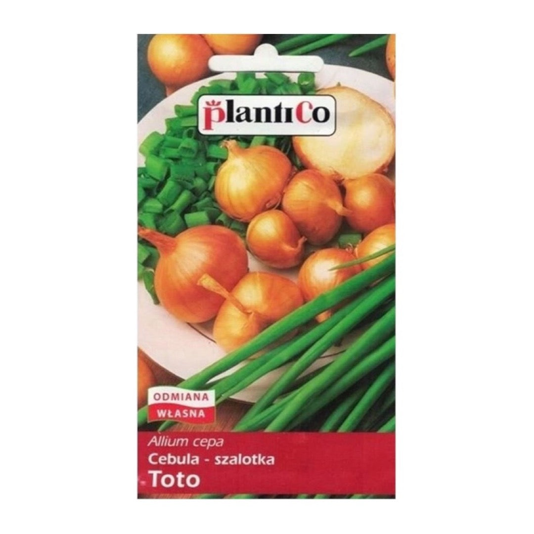 Saszetka nasion cebuli szalotki Toto PlantiCo, 1 g