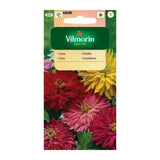 Saszetka nasion cynii wytwornej kaktusowej, mieszanka Vilmorin, 1 g