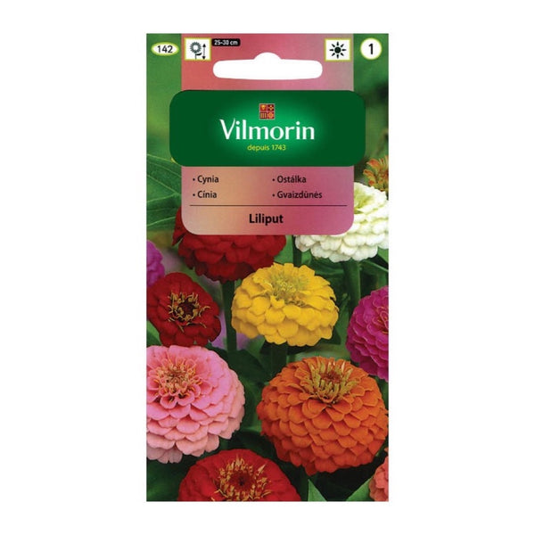Saszetka nasion cynii karłowej Liliput, mieszanka Vilmorin, 1 g