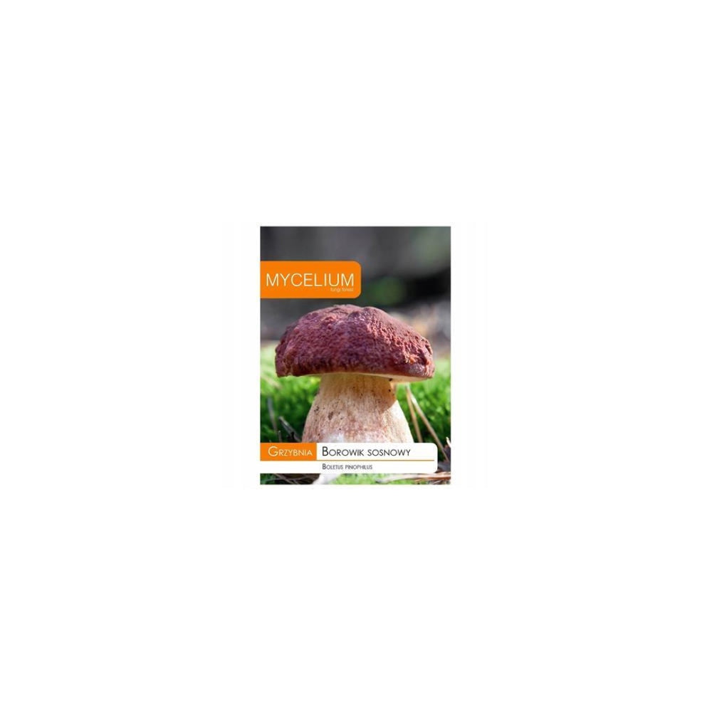 Opakowanie grzybni Mycelium, borowik sosnowy, 10 g, na białym tle