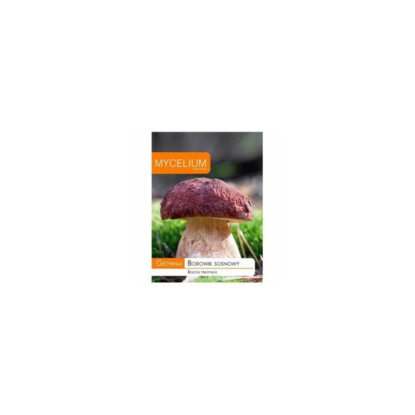 Opakowanie grzybni Mycelium, borowik sosnowy, 10 g, na białym tle