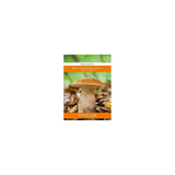 Opakowanie grzybni Mycelium, borowik usiatkowany, 10 g, na białym tle