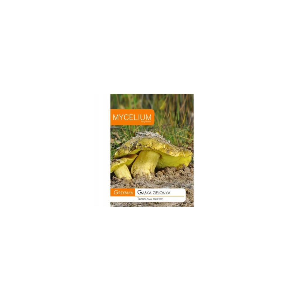 Opakowanie grzybni Mycelium, gąska zielonka, 10 g, na białym tle