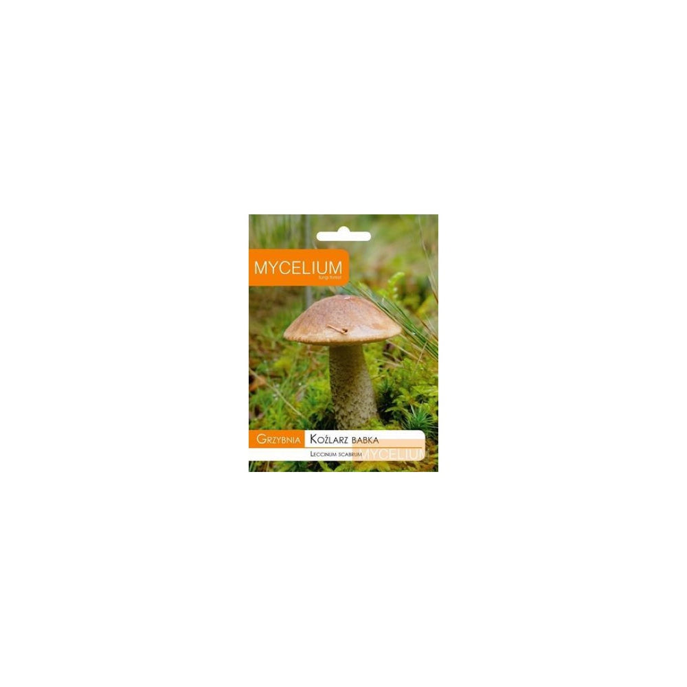 Opakowanie grzybni Mycelium, koźlarz babka, 10 g, na białym tle