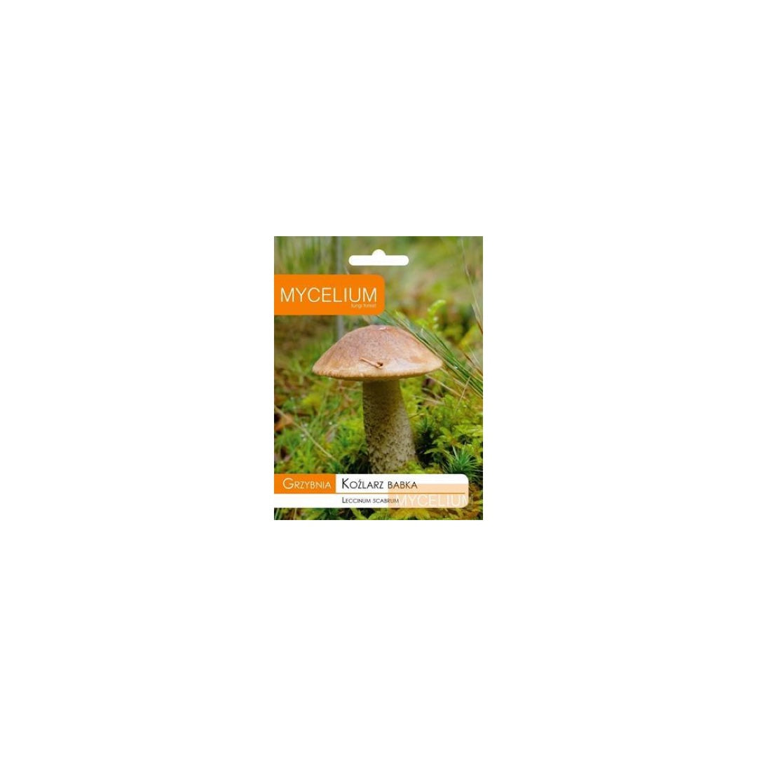 Opakowanie grzybni Mycelium, koźlarz babka, 10 g, na białym tle