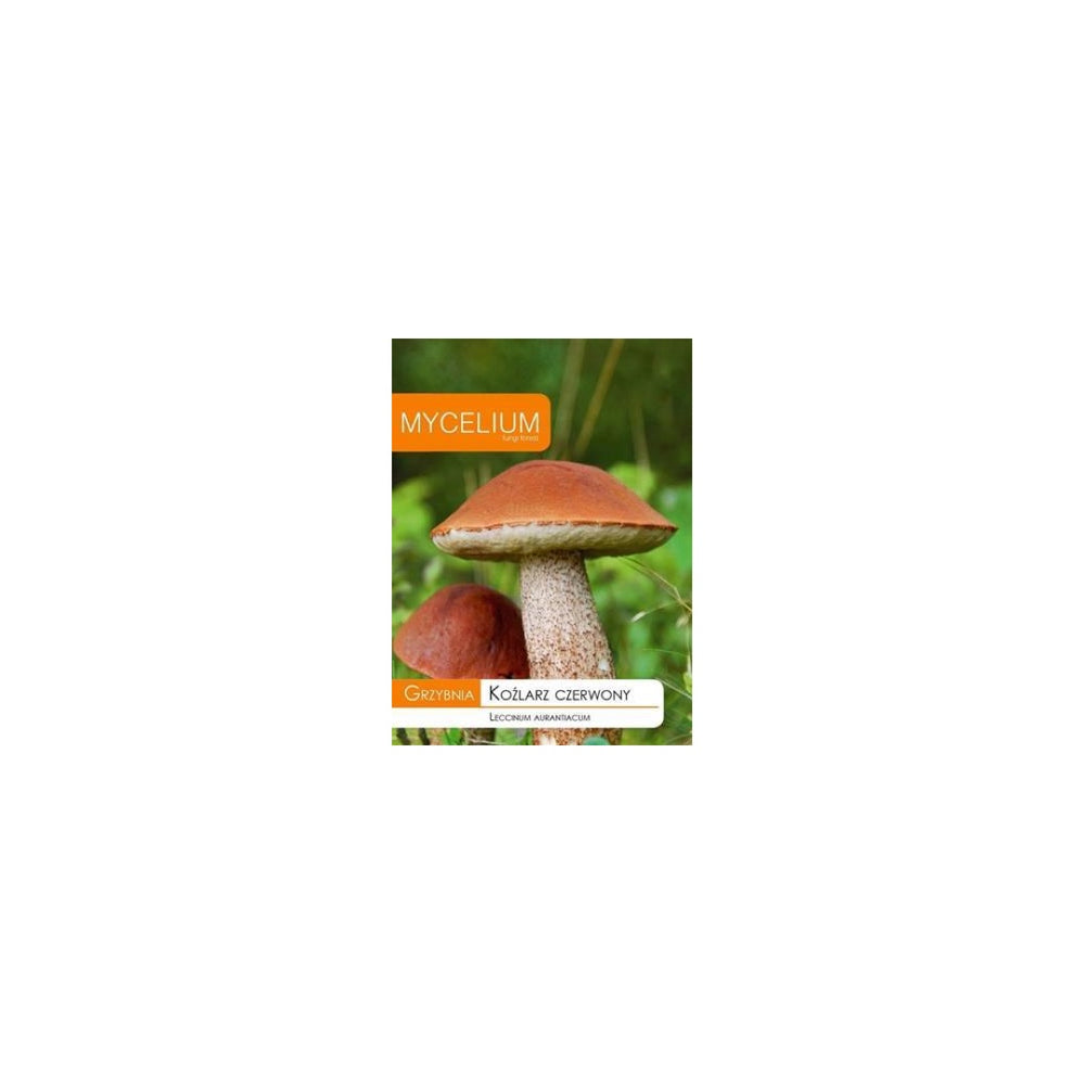Opakowanie grzybni Mycelium, koźlarz czerwony, 10 g, na białym tle