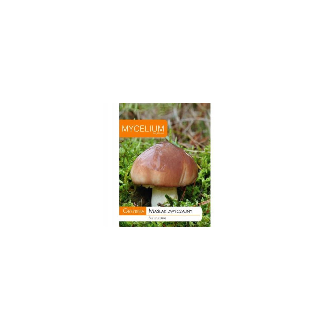 Opakowanie grzybni Mycelium, maślak zwyczajny, 10 g, na białym tle