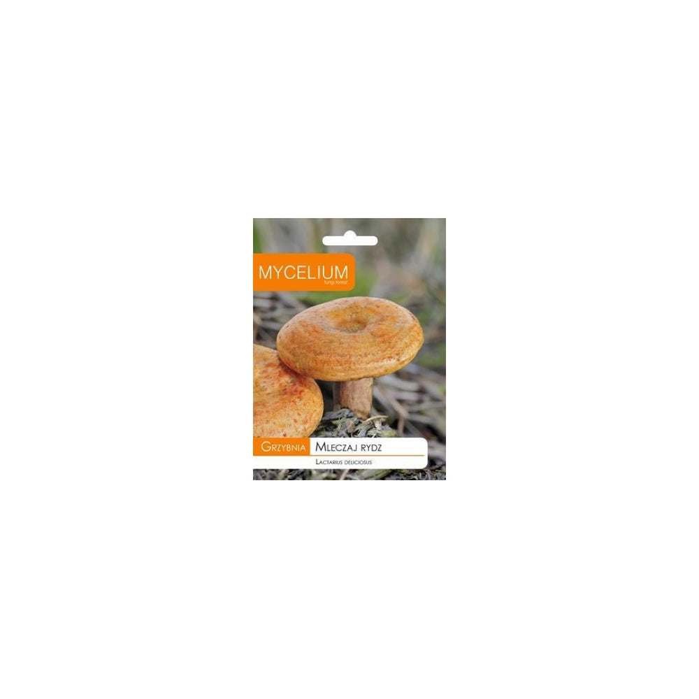 Opakowanie grzybni Mycelium, mleczaj rydz, 10 g, na białym tle