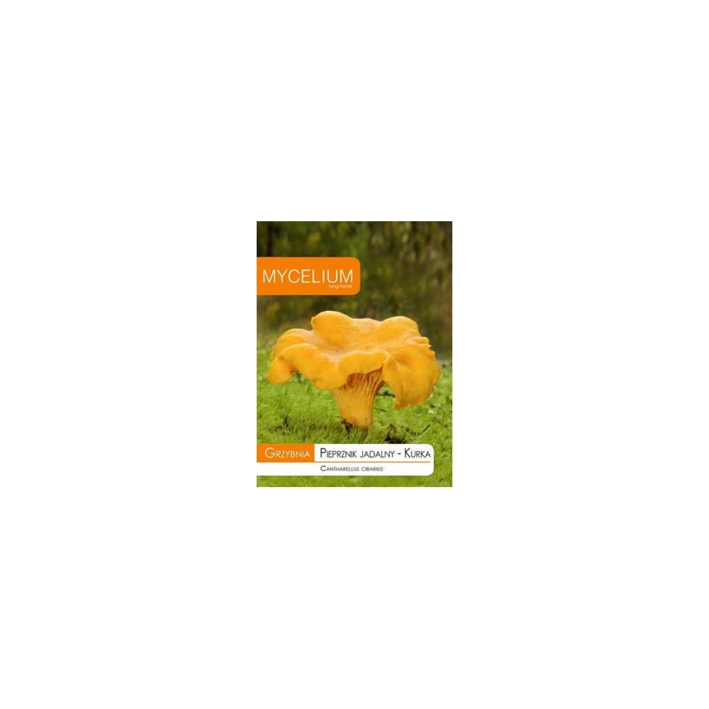 Opakowanie grzybni Mycelium, pieprznik jadalny (kurka), 10 g, na białym tle