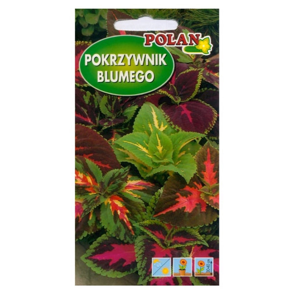 Saszetka nasion pokrzywnika Koleus Blumego mieszanka Polan, 0,1 g