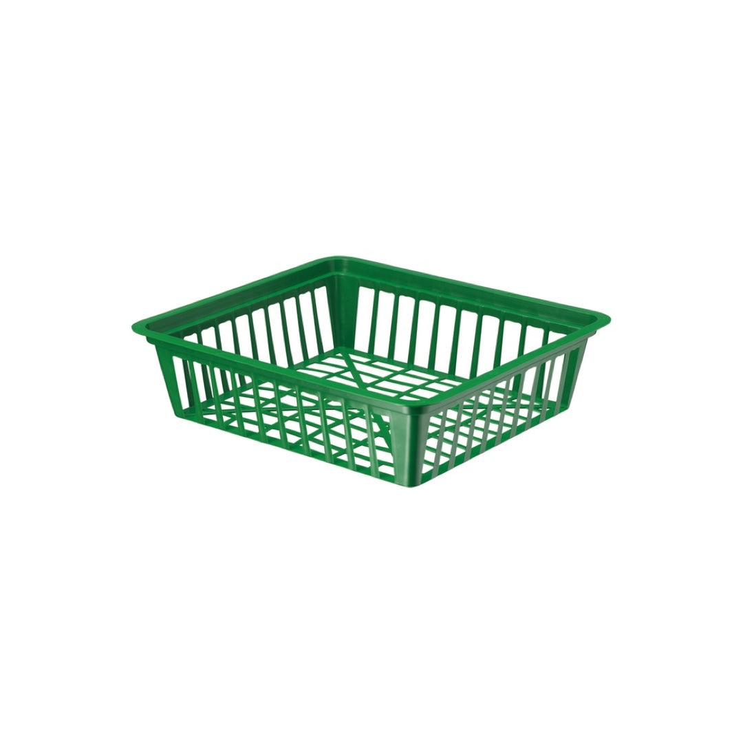 Zielony plastikowy koszyk do cebulek kwiatowych, kwadratowy, Form-Plastic, na białym tle