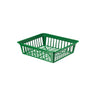 Zielony plastikowy koszyk do cebulek kwiatowych, kwadratowy, Form-Plastic, na białym tle