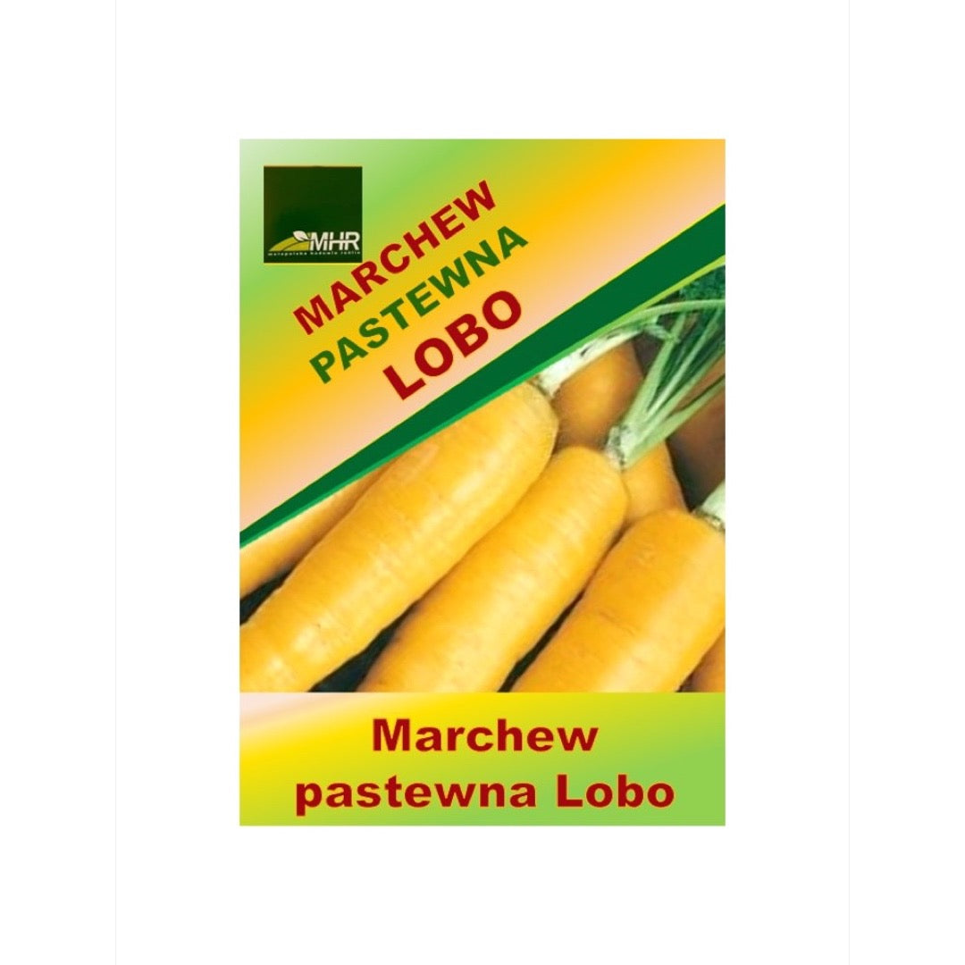 Opakowanie nasion marchwi pastewnej Lobo (MHR)