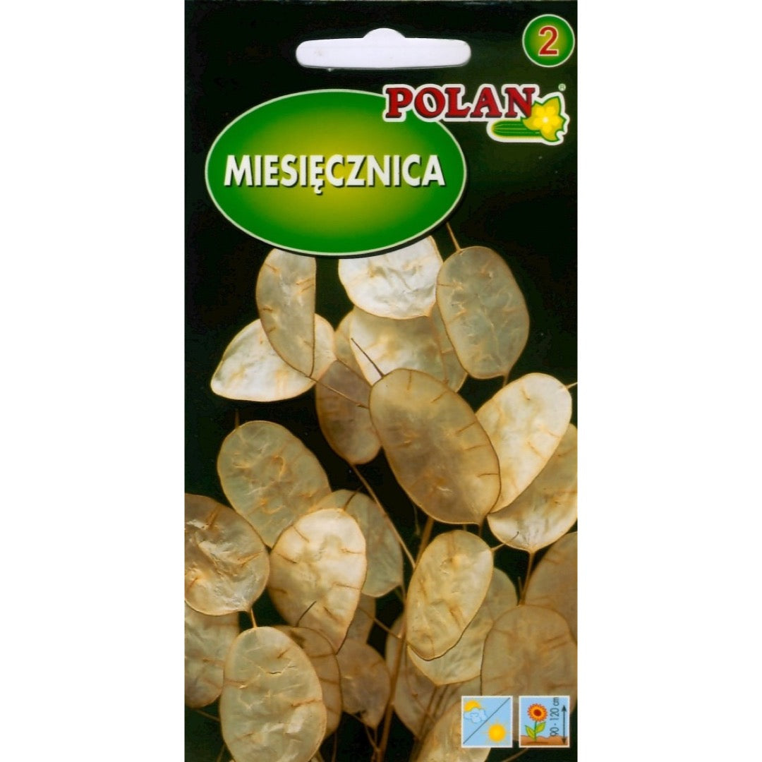 Saszetka nasion miesięcznicy rocznej Polan, 2 g
