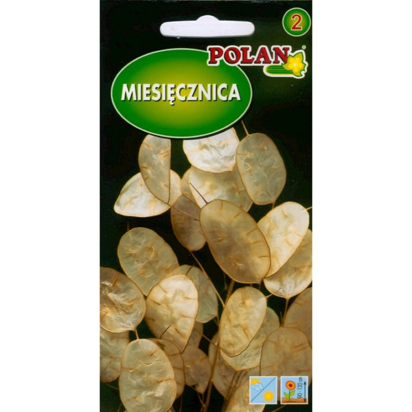 Saszetka nasion miesięcznicy rocznej Polan, 2 g