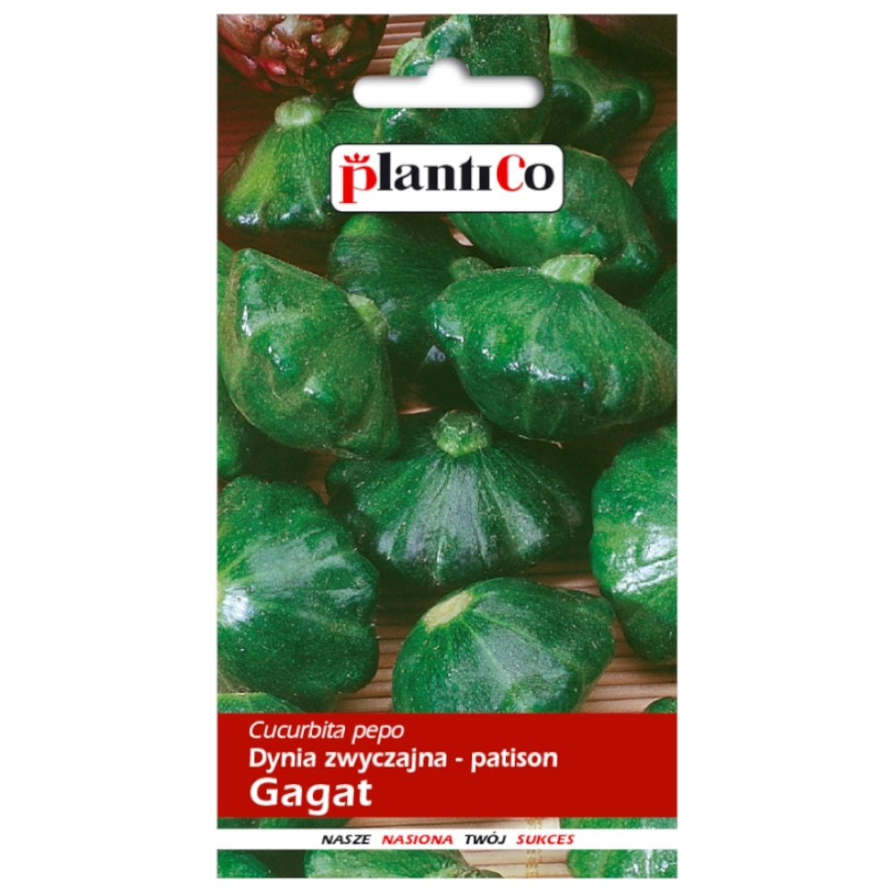 Saszetka nasion patisona Gagat PlantiCo, 2 g