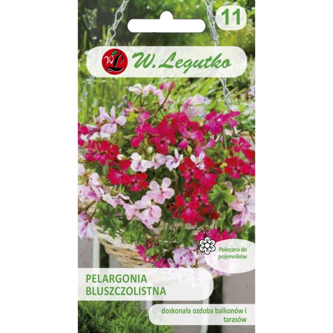 Saszetka nasion pelargonii bluszczolistnej Speedy F2 W. Legutko