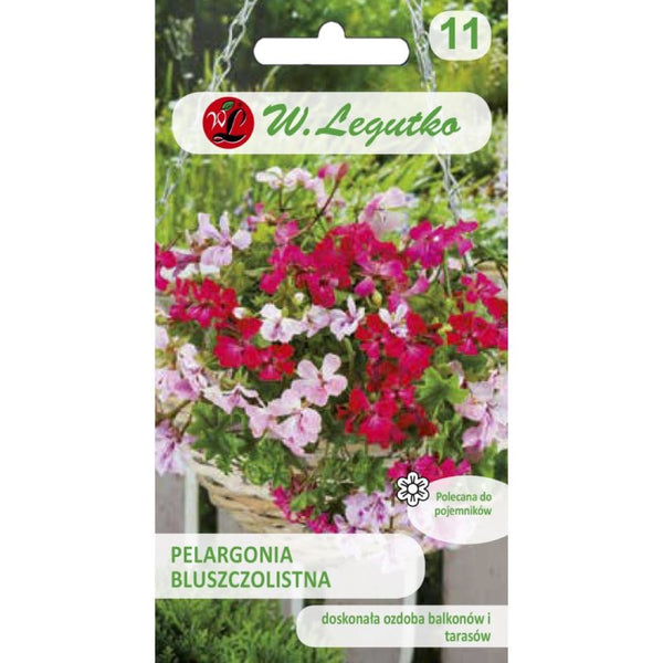 Saszetka nasion pelargonii bluszczolistnej Speedy F2 W. Legutko